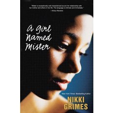 (영문도서) A Girl Named Mister Paperback, Blink, English, 9780310761464