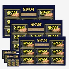 햄 대용량 3개 간편식사 든든한 구성 명절 선물 10개입 집들이용, ECJ스팸12K 선물세트 한박스