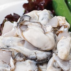 제철 생굴회 통영 석화 삼배체굴, 1박스, 생굴 깐굴 1kg(지퍼백포장)