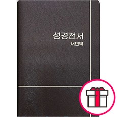 대한성서공회 새번역 성경 (무색인/RN62EX/국반변형판), 단품