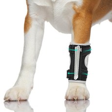 Petdream 강아지 앞다리 보호대: 발목 앞다리 앞다리를 위한 조절 가능한 부목 탈착식 금속 스프링과 반사 가장자리가 있는 염좌 랩 관절염 및 부상 지지용 (S), Matte Black