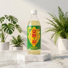 동아오츠카 오란씨 파인애플 500ml 20pet 탄산음료수, 20개