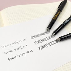 플래티넘 프레피 더블랙 만년필, 블랙, M