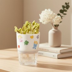 콩나물 키우기 키트 관찰일지 기르기 퍼니스쿨, 1개