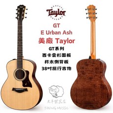 Taylor GT-E 美廠 38吋 旅行電木吉他 全單板 梣木 ES-2拾音器 老羊樂器店現貨, 1個