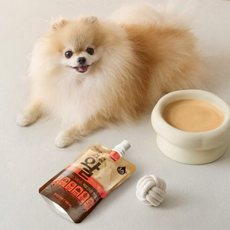 hy 한국야쿠르트 펫쿠르트 건강하개 프로젝트 왈 100mlX10개입, 100ml, 10개