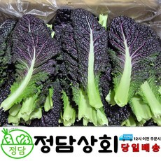[ 정담상회 ] 국내산 적겨자 쌈채소 겨자잎 2kg 내외, 1박스