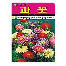 아람종묘 과꽃 씨앗 1000립, 1개