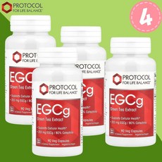 카테킨 효능 EGCg 녹차 다이어트 혈중 콜레스테롤 글루텐프리 비건 200mg 90캡슐x4병