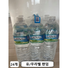 제주삼다수 그린, 2L, 24개