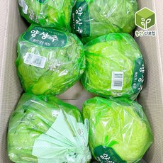 국내산 포장 양상추 6통, 6개, 300g