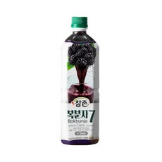 참존 냉음료 과일음료 음료베이스 복분자 과일원액 835ml 1박스(12개입), 1박스
