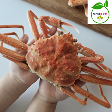 북해도 훗카이도 자숙 대게 대나무대게, 1개, 북해도[자숙]대게 3kg 10-15미내외(M)