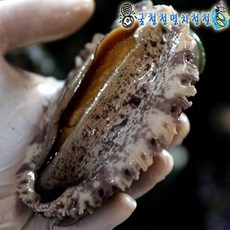 통영해물뚝배기 2kg내외 2인분 통영직발송, 1개, 전복1kg중(17미내외)