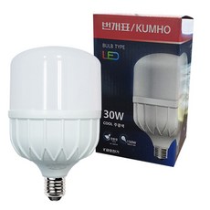 LED 고와트 파워램프 30W 공장등 번개표U볼 48158EA 1(ea), 색상, 1개