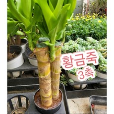 하늘에서 본 방파제 낚시터, 황금시간, 낚시춘추 편집부