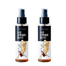 쇼킹좀싹킬러미스트 풋미스트, 2개, 100ml