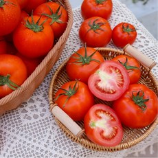 [농부선별마켓] 아삭아삭 단단한 유러피안 완숙 토마토 산지직송 스마트팜 유럽종 특품, 1박스, 대과 5kg