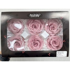 “Be a florist 花藝夢”日本大地農園不凋永生玫瑰05213(原裝盒出售) 六輪單色 永生花 乾燥花, 241