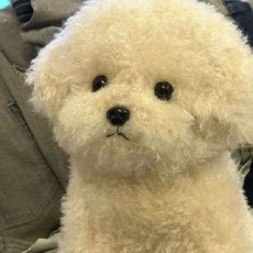 귀여운 리얼 인형 선물 뽀글이 진짜같은 비숑인형 강아지인형 앉아있는, 1개