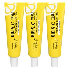 웰빙헬스팜 예쁜얼굴 비타민C 크림, 25g, 3개