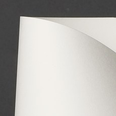 토포러스 언코티드보드지 310gsm + 80x110cm + 10 매 (부드러운질감/백색) + DS, 1팩