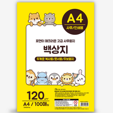영진 백상지 a4 100매 120그램 상장용지 문서표지 차트지