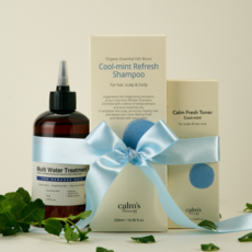 [캄스테라피 공식몰] 캄스테라피 쿨민트 선물세트, 1세트