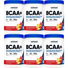 뉴트리코스트 고흡수 BCAA 플러스 파우더 후르츠펀치, 6개