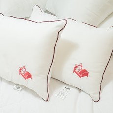 棉床本舖遠東四孔棉兒童枕頭(30X45cm) 本舖電繡LOGO 台灣製 幼兒午睡枕, 超值二入組