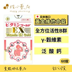 大正 EX 黃金維他命錠 日本進口 全方位活性B群 穀維素 葉酸 維生素E 維生素C 60錠, 1個