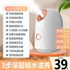 냉온 겸용 페이셜 스티머 얼굴 수분 공급기 모공 열기 온열 스프레이 피부 관리기, 2_열 분사 미백 최고급형, 단일 모델