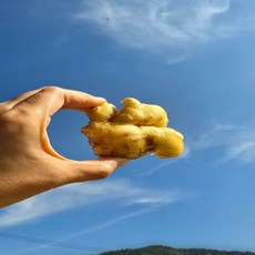 {경북} 청담농수산 산지직송 세척생강, 1개, 1kg내외 (실속형)