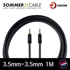 좀머 고블린 3.5mm-3.5mm 억스 케이블 1M (리안 231BG-231BG), 1개, 블랙, NYS231BG + NYS231BG 1m