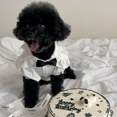 퐁펫 체크멜빵 파티복 Pet714, 셔츠, 1개