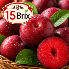 체리자두 아삭달콤 고당도 산지직송 15Brix, 1박스, 1kg(30g내외)