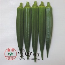 豐田種子 K20 綠美人秋葵種子 彎曲果少 產量高, 1包