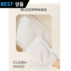 블룸팡 부직포 청소 장갑, 100개