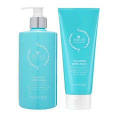 청정미인 히아루론 폼클렌징 500ml 1개 + 폼클렌징 200ml 1개