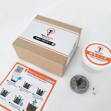 유치원 식목일행사 원예활동 단체수업 씨앗 봉선화키우기 자연과학 요양원, 단품