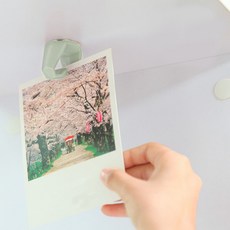 알샵 집게형 부착고리 다용도집게, 1개