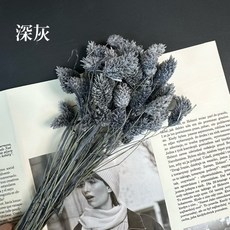 花藝夢 加那利原裝進口荷蘭乾燥花寶石草，高CP值永生花不凋花花束配花，花藝設計素材首選, 深灰, 深灰