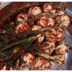 전라도 목포여라/직접농사지은 (엄니손맛) 양파줄기김치 2kg, 1개