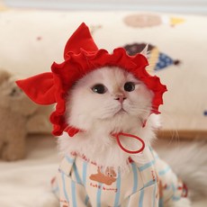 貓咪衣服 防掉毛 透氣 護肚衣 寵物 四腳睡衣, 1個, 小紅帽 無衣服 ,帽子M-頭圍30CM 建議10.0公斤內