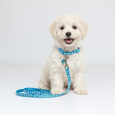 퍼플펫 반려동물 초경량 목줄 + 리드줄 세트, 파랑색, 1개