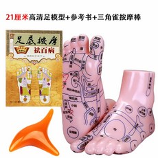 발 경혈 모형 교육 가정용 혈자리 한의원 마사지 모델, 1세트, 21CM 고화질 모델+참고서+삼각스틱