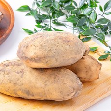 [미식한가] 유명산지 국내산 흙 연근(가정용) 1kg / 깐연근 / 생연근, 1개, 흙 연근 (가정용) 1kg