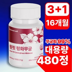 원핏 평화무궁 정품 식약청인증, 4개, 120정