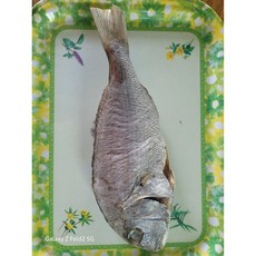 완도 자연산 반건조 도미(특대 30cm 전후 내장제거 등 전처리완료 개별 진공포장), 중형(20~25cm), 1개