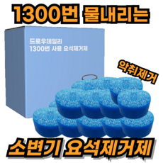 드로우데일리 1300번 물내리는 소변기 요석제거제, 1개, 50g